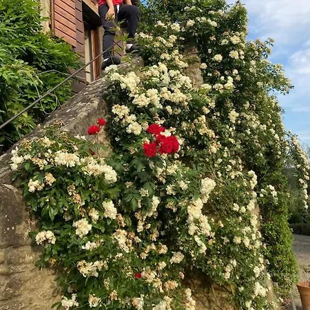 וילה Torretta Filomena Toscana קורטונה