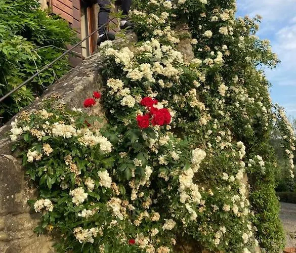فيلة Torretta Filomena Toscana كورتونا