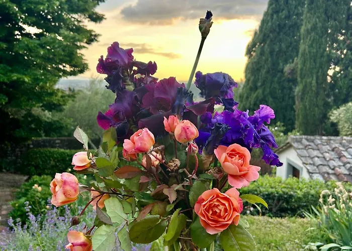 Villa Torretta Filomena Toscana